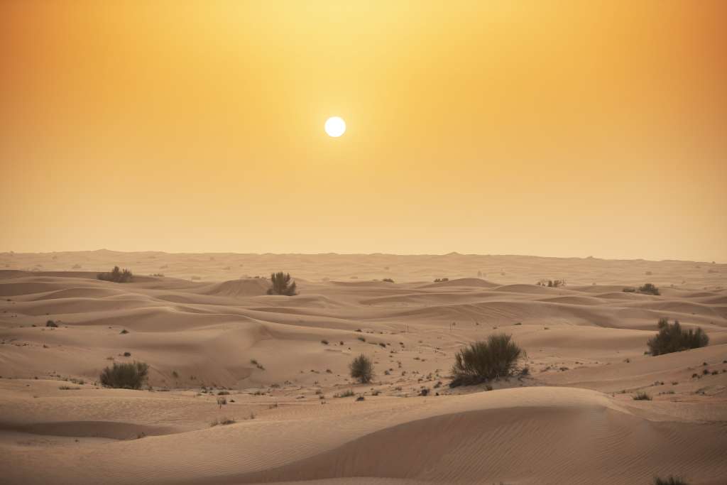 Dubai Desert